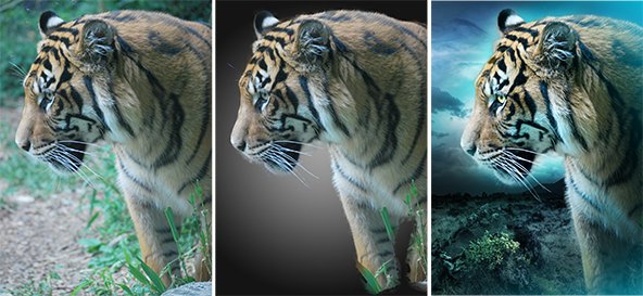 Compositing-Animals-in-Photoshop-Tutorial-1