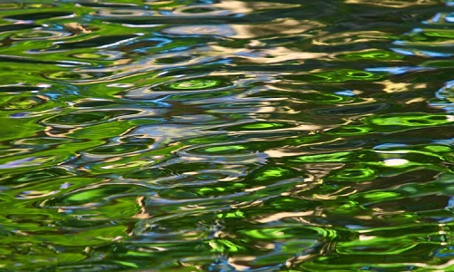 greenery-shadow-water-texture
